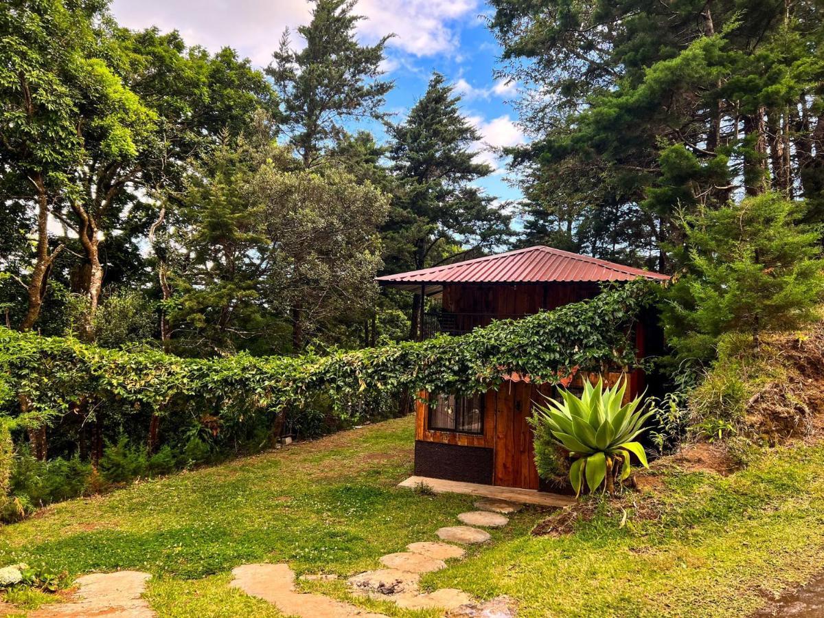 Cabanas Queca! Poas Dış mekan fotoğraf